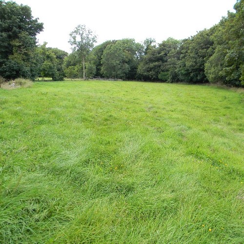 Excellent quality land