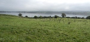 Whiddy Island, Bantry, Co. Cork. 