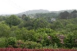 View from rear of property.