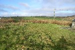 Garden & Rural View.