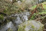 Natural Stream.