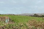 site