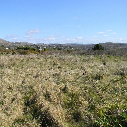 Site