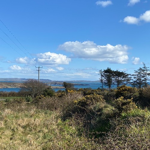 Schull Harbour view from site