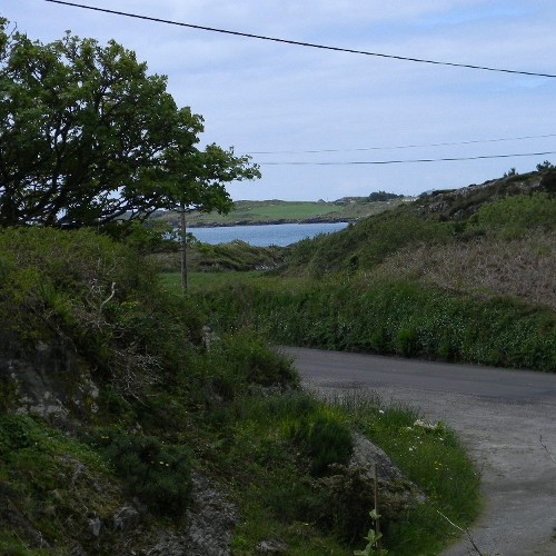Inner harbour view
