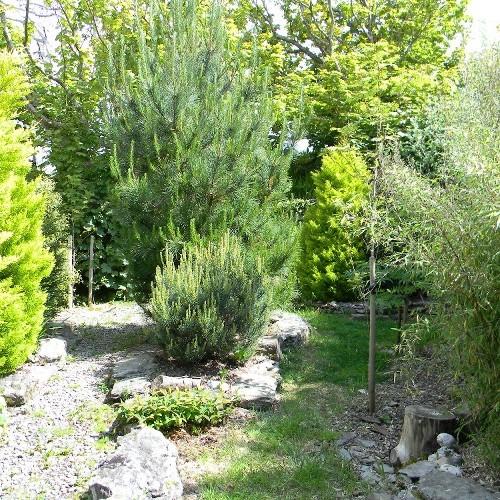 Beautiful Mature Garden