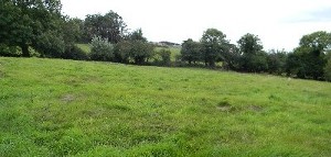Dromreagh, Durrus, Co. Cork. 
